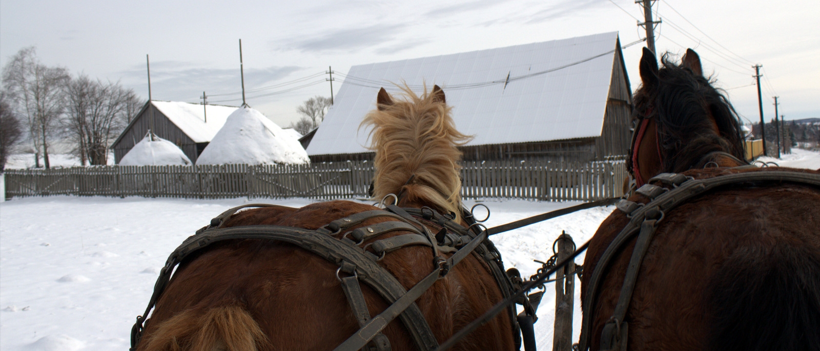Lovaglás, lovas szánozás