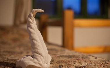 Karrier, álláslehetőség